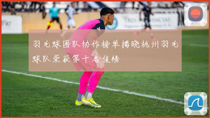 羽毛球团队协作榜单揭晓杭州羽毛球队荣获第十名佳绩