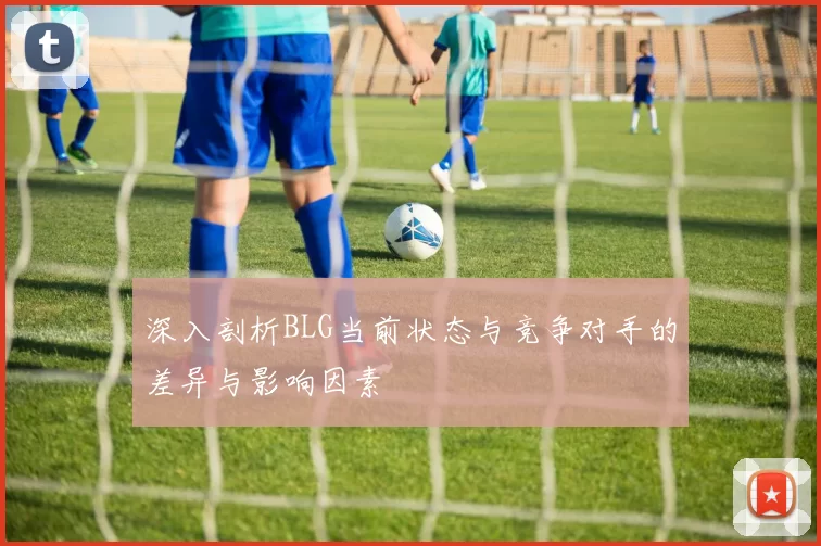 深入剖析BLG当前状态与竞争对手的差异与影响因素