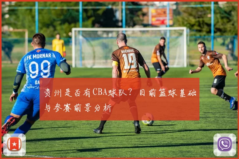 贵州是否有CBA球队？目前篮球基础与参赛前景分析